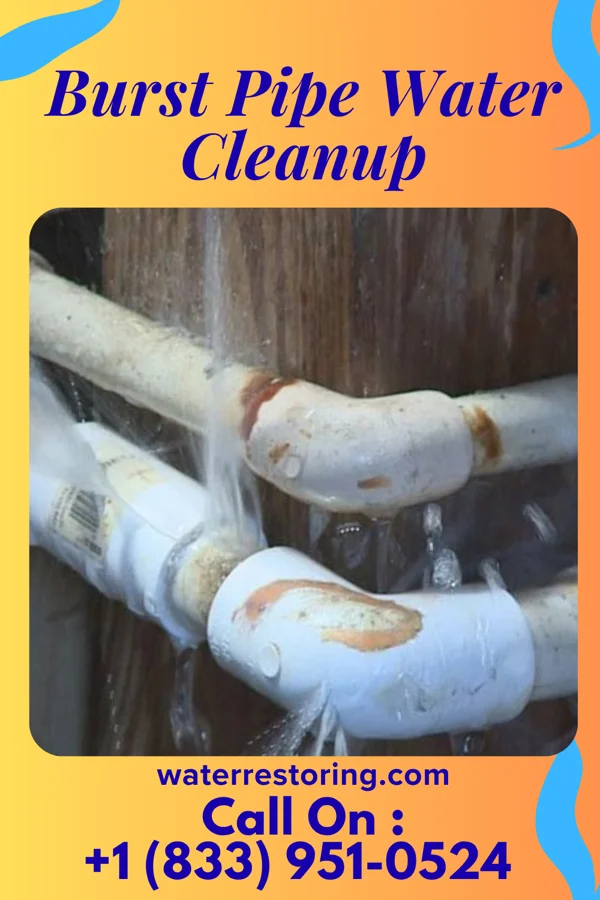 Burst Pipe Water Cleanup in Adamsville, AL